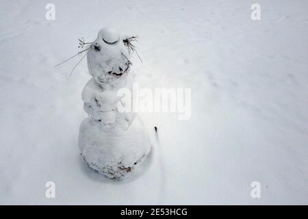 26 janvier 2021, Basse-Saxe, Jühnde: Un bonhomme de neige se tient sur un terrain enneigé près d'un bois près de Jühnde dans le district de Göttingen. Photo: Swen Pförtner/dpa Banque D'Images