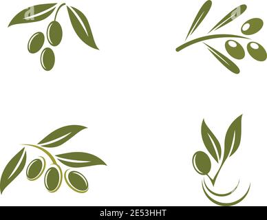 ensemble de motifs vectoriels avec logo olive Illustration de Vecteur