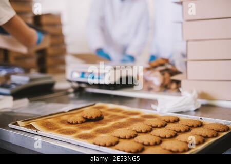 Gros plan sur le plateau rempli de petits gâteaux frais dans l'usine alimentaire. Image floue de deux hommes employés dans des vêtements stériles emballant des biscuits en arrière-plan. Banque D'Images