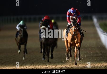 Photo du dossier datée du 18-01-2021 de Power of States monté par Tom Marquand sur le chemin de gagner le handicap de Betway à l'hippodrome de Wolverhampton. Date de la photo: Lundi 18 janvier 2021. Date de publication : le mardi 26 janvier 2021. Banque D'Images