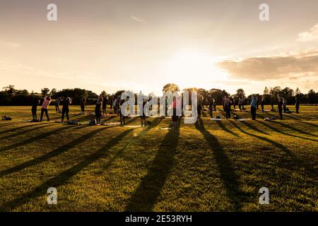 Un groupe participe à un cours de yoga en plein air au coucher du soleil dans un parc, éclairé par le soleil couchant qui projette des ombres sur le terrain. Banque D'Images