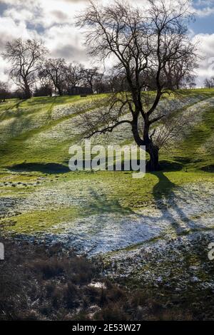 La neige légère montre des restes de champs de bandes médiévales près de Parwich, parc national de Peak District, Derbyshire Banque D'Images