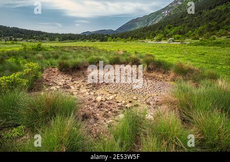 Étang séché en raison de la sécheresse dans un pré à haute altitude. Abruzzes, Italie, Europe Banque D'Images