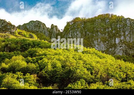 Bois de hêtre, murs escarpés et prairies à haute altitude. Parc national de Maiella, Abruzzes, Italie, Europe Banque D'Images