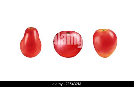Tomates aquarelles. Ensemble de fruits rouges mûrs. Peinture botanique réaliste avec légumes frais. Illustration isolée sur blanc. Design alimentaire dessiné à la main Banque D'Images