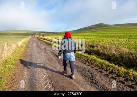 Femme marchant sur la piste de ferme, Easton Hill, Bishops Cannings, North Wessex Downs AONB, Wiltshire, Angleterre, Royaume-Uni Banque D'Images