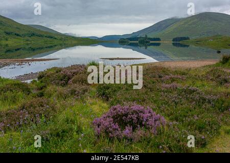 Loch Dughaill, Achnashellach, Wester Ross, Écosse Banque D'Images