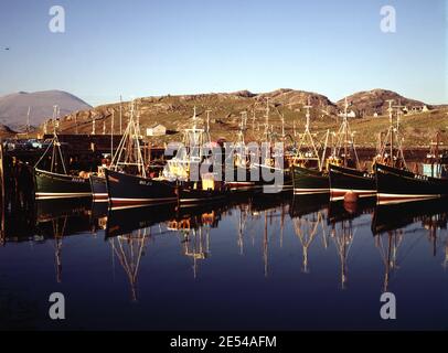 Écosse, Sutherland. Kinlochbervie, avec la flotte de chalutiers dans le port le dimanche soir. Vers 1973. Photo de la collection Tony Henshaw/Tom Parker Numérisé à partir d'une transparence originale de 5'x4' à partir d'une archive unique et étonnante de la photographie originale des îles britanniques par le photographe Tom Parker. © World copyright. Banque D'Images