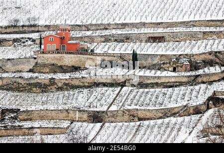 Freyburg, Allemagne. 26 janvier 2021. Un cottage de vignoble rouge se trouve dans les vignobles enneigés de la vallée d'Unstrut. Credit: Jan Woitas/dpa-Zentralbild/dpa/Alay Live News Banque D'Images