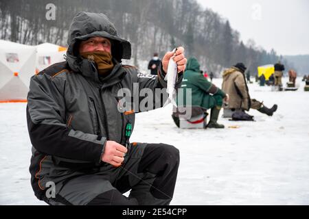 Pêcheur pêchant sur un lac gelé en hiver montrant un poisson coregonus albula, connu sous le nom de vendace ou de cisco européen, blanc d'eau douce Banque D'Images