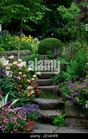 Hydrangea preziosa,lilium regale,lis regale,géranium anne thomson,agave mediopicta aurea,nemesia,hortensias et lys,rose fleurs blanches, floraison c Banque D'Images