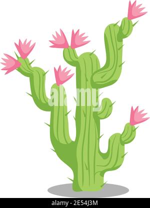 Illustration de la plante du désert de Cactus , isolée sur fond blanc Illustration de Vecteur