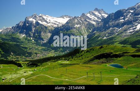 L'été dans les Alpes bernoises, en regardant vers Grindelwald dans la vallée plus le Wetterhorn et Schreckhorn. Banque D'Images