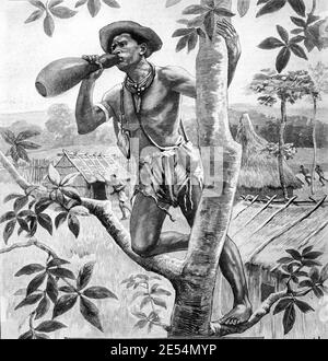 Messanger dans l'arbre appel supérieur avec Calabash ou Gourd bouteille Utilisé comme mégaphone naturel au Burkina Faso Afrique de l'Ouest 1904 Illustration ancienne ou gravure Banque D'Images
