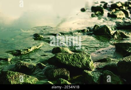 Paysage nature pittoresque paysage vert fond avec rive de rivière avec beaucoup de rochers en mousse et algues fleurs, environnement nocif Banque D'Images