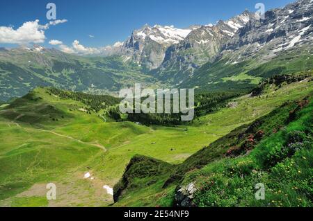 L'été dans les Alpes bernoises, en regardant vers Grindelwald dans la vallée plus le Wetterhorn et Schreckhorn. Banque D'Images
