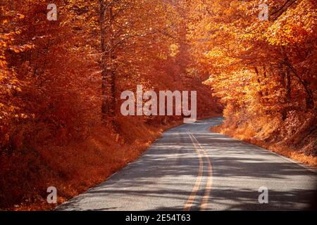 La route nationale 250 serpente à travers une forêt à l'extérieur de Paris Crossing, IN. Prise de vue à la lumière infrarouge de 550 nm. Cela donne à l'image l'apparence d'un jour d'automne. Banque D'Images