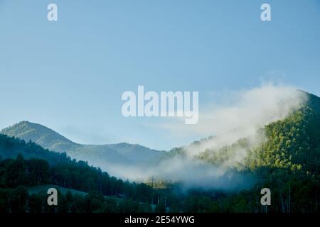 vert montagne nature lever de soleil le matin avec brouillard Banque D'Images