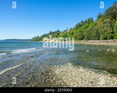 Saltwater State Park est une parcelle de bois de deuxième croissance sur Puget Sound dans la ville de des Moines, Washington, États-Unis. L'attraction principale est sal Banque D'Images