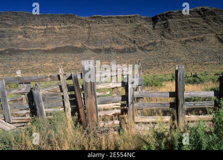 Corral au-dessous d'Abert Rim, Lakeview District Bureau of Land Management, Oregon Banque D'Images