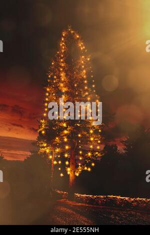 Arbre de Noël illuminé par l'église Uskela au crépuscule de Noël. Filtres ajoutés pour une ambiance festive. Salo, Finlande. 2020. Banque D'Images