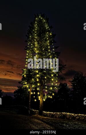 Arbre de Noël illuminé par l'église Uskela au crépuscule de Noël. Salo, Finlande. 2020. Banque D'Images