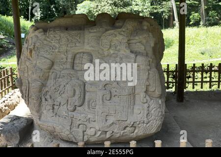 Quirigua, Guatemala, Amérique centrale: Zoomorphe maya / stela in Quirigua. Quirigua est un ancien site archéologique maya dans le département d'Izabal. Banque D'Images
