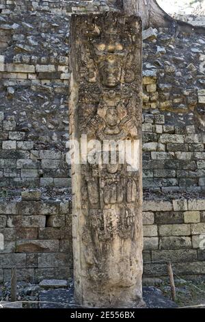 Copan, Honduras, Amérique centrale: stela de maya dirigeant à Copan. Copan est un site archéologique de la civilisation maya près du Guatemala Banque D'Images