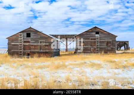 de vieilles granges dans un champ en hiver près de townsend, montana Banque D'Images