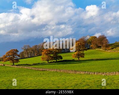 Paysage d'automne avec des arbres à deux Dales près de Matlock in Le Derbyshire Dales fait partie du Peak District England UK Banque D'Images