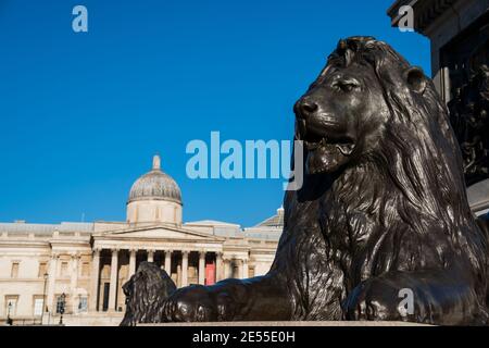 Sculpture de lion à l'extérieur de la National Gallery à Trafalgar Square, Londres, Royaume-Uni