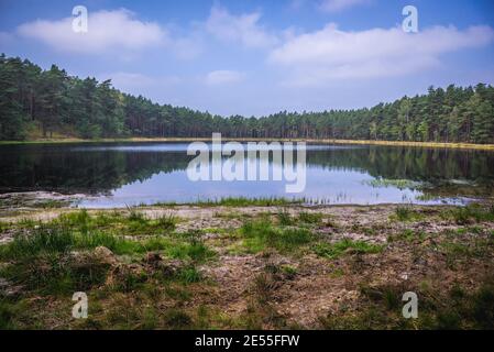 Petit lac à Dziemiany commune, région de Cachoubie en voïvodie en Pologne Banque D'Images