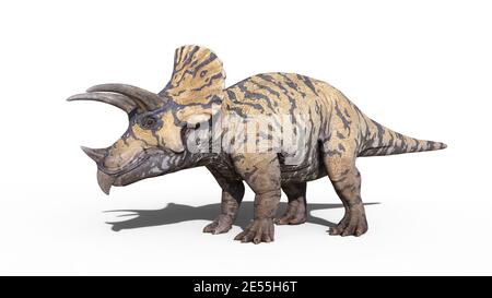 Tricératops, reptiles debout, animal jurassique préhistorique isolé sur fond blanc, illustration 3D Banque D'Images