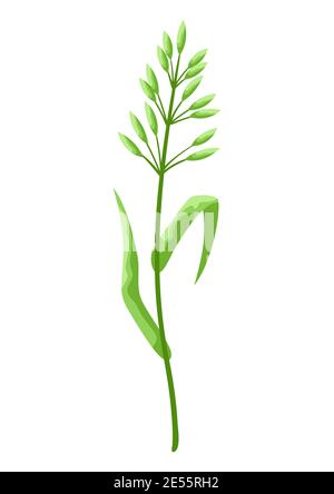Illustration de l'herbe à céréales stylisée. Illustration de Vecteur