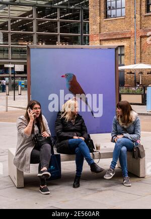 Trois femmes assises sur un banc comme un oiseau sur une affiche derrière elles semble comme si elle était perchée sur la tête d'une femme. Banque D'Images