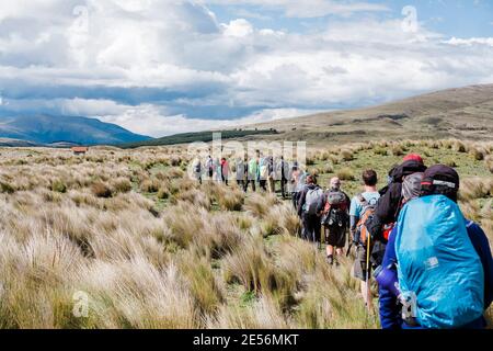 Un groupe de randonneurs dans le parc national de Cotopaxi. Banque D'Images