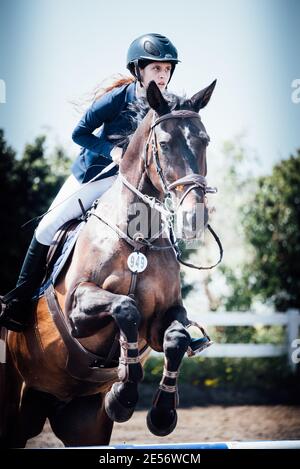 Défi mondial de saut à la FEI Israël Banque D'Images