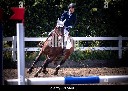 Défi mondial de saut à la FEI Israël Banque D'Images