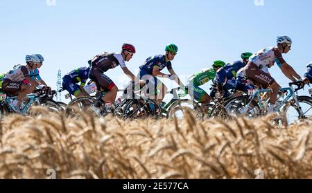 Saint-Quentin-Fallavier,France - Juillet 16, 2016 : le peloton équitation dans une plaine de blé au cours de l'étape 14 du Tour de France 2016. Banque D'Images