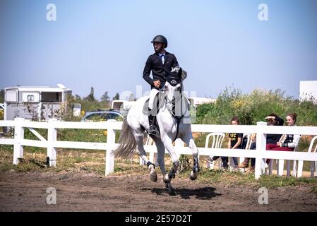 Défi mondial de saut à la FEI Israël 2019 Banque D'Images