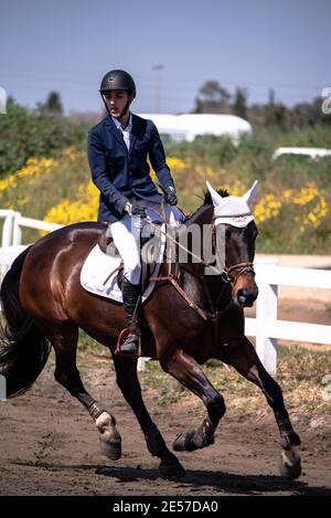 Défi mondial de saut à la FEI Israël 2019 Banque D'Images