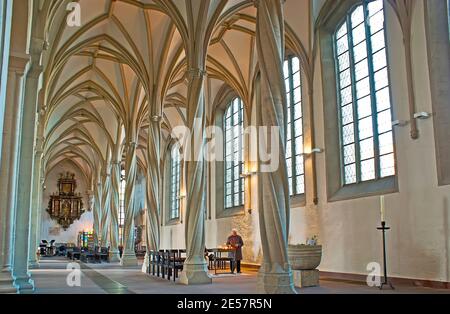 BRAUNSCHWEIG, ALLEMAGNE - 22 NOVEMBRE 2012 : la salle gothique de Brunswick Cathedral avec une grande voûte et des colonnes en pierre tordue, le 22 novembre 2012 à Braunschwei Banque D'Images