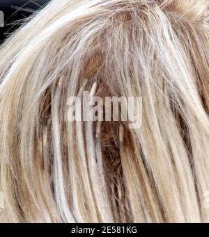 Les cheveux de Nicole Richie ont besoin d'un maquillage. Les extensions de la petite star de la réalité étaient exposées lors de la prise de la simple Life à Los Angeles, ca. Aujourd'hui. 4/11/07 [[rac ral]] Banque D'Images