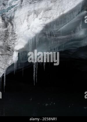 Gros plan de la glace cristal glace fonte de la neige goutte d'eau au Pastoruri Glacier lac Cordillera Blanca, Huaraz Ancash Pérou Andes Amérique du Sud Banque D'Images
