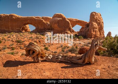 North Window et South Window dans la section Windows du parc national d'Arches, Utah, États-Unis Banque D'Images