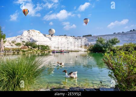 Beaucoup de canards sont dans l'eau à Travertines de Pamukkale ou des piscines thermales et des ballons d'air chaud flottent dans le ciel. C'est une destination touristique populaire Banque D'Images