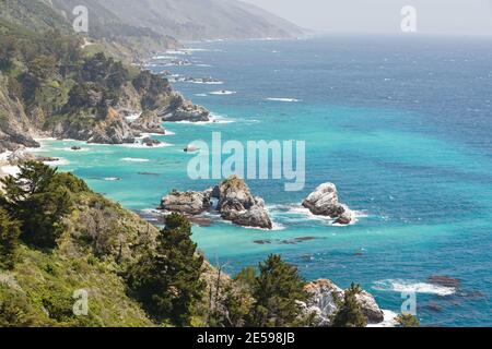 Big sur, Comté de Monterey, Californie. Océan Pacifique, falaises et plantes indigènes sur la plage. Banque D'Images