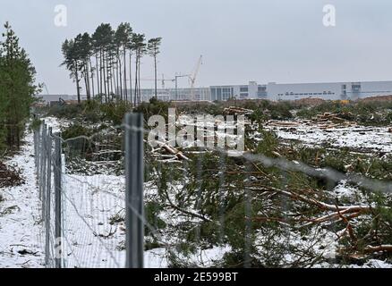 25 janvier 2021, Brandebourg, Grünheide : la zone élargie du chantier de construction du Gigafactory Tesla à l'est de Berlin. Un maximum de 500,000 véhicules par an doit sortir de la chaîne de production à l'usine à partir de juillet 2021 - le constructeur automobile prévoit d'atteindre le maximum le plus rapidement possible. Le constructeur automobile américain prévoit initialement d'employer jusqu'à 10,500 personnes par quart dans sa première usine prévue en Europe. Photo: Patrick Pleul/dpa-Zentralbild/ZB Banque D'Images