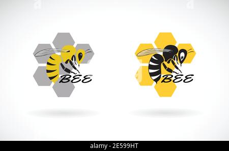 Motif vectoriel d'abeille et nid d'abeille sur fond blanc. Insecte. Animaux. Icônes Bee. Illustration vectorielle superposée facile à modifier. Illustration de Vecteur