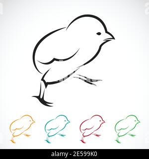 Vecteur de poussin sur fond blanc. Illustration vectorielle superposée facile à modifier. Animal de ferme. Illustration de Vecteur